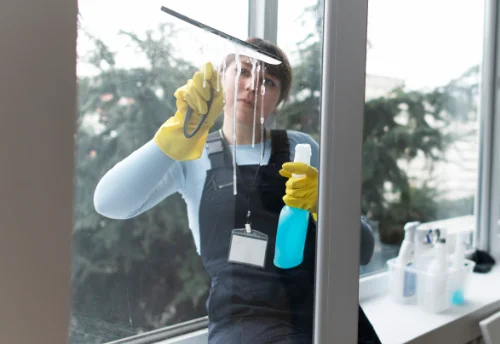 Nettoyage de vitres intérieures et extérieures à Malissard